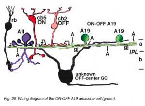 A19circuit
