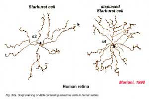 AChhuman