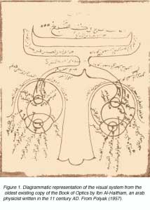 arabe1