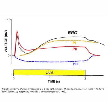 ERGFig2