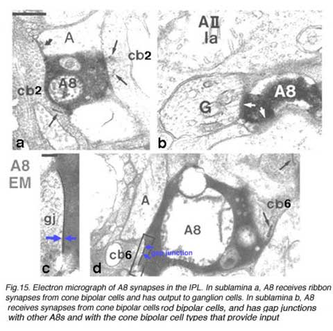 Fig15