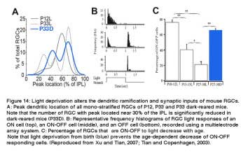 Fig 14B
