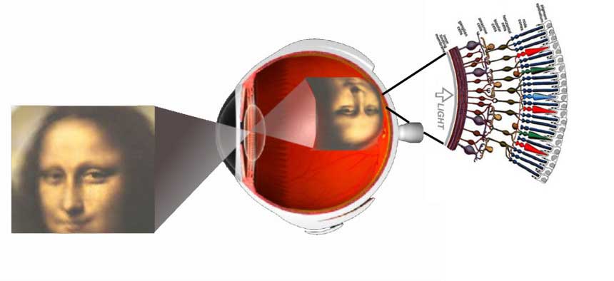 Eye_intro