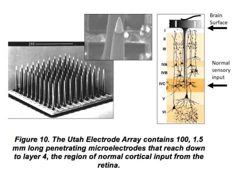Fig10n
