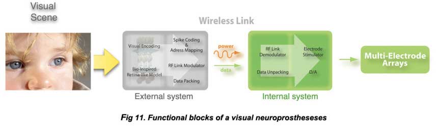 Fig11n