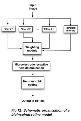 Fig12n