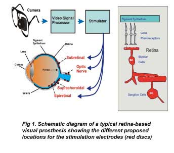 Fig1_EC
