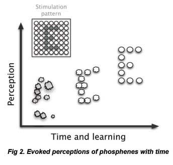 Fig2