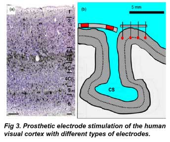 Fig3_EC