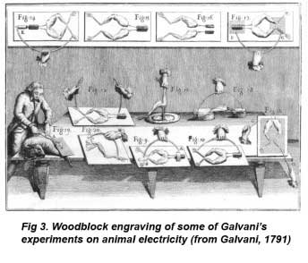 Fig3_Galvani