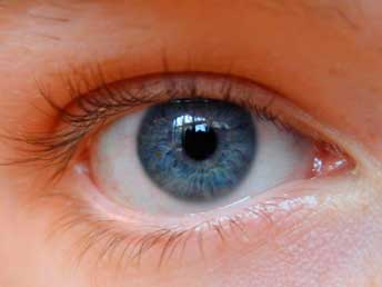 b1eye01v