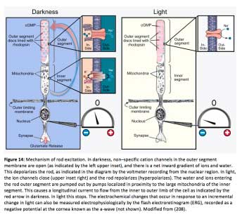 Figure14