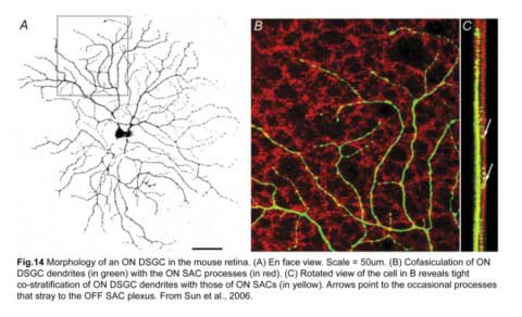 Fig14