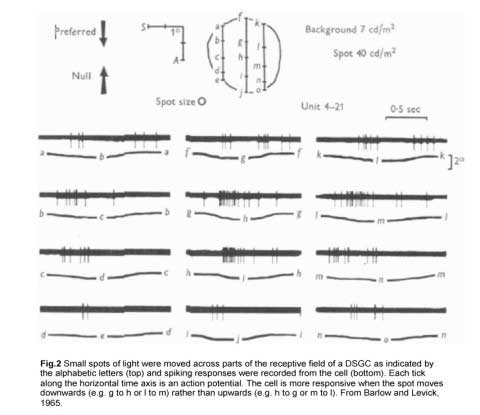 Fig2