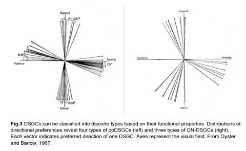 Fig3