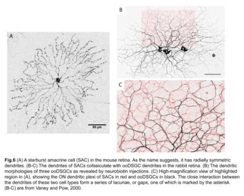 Fig6